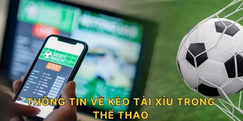 Thông tin về kèo tài xỉu trong thể thao